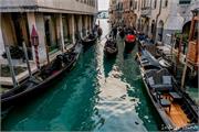VENICE21 (1)